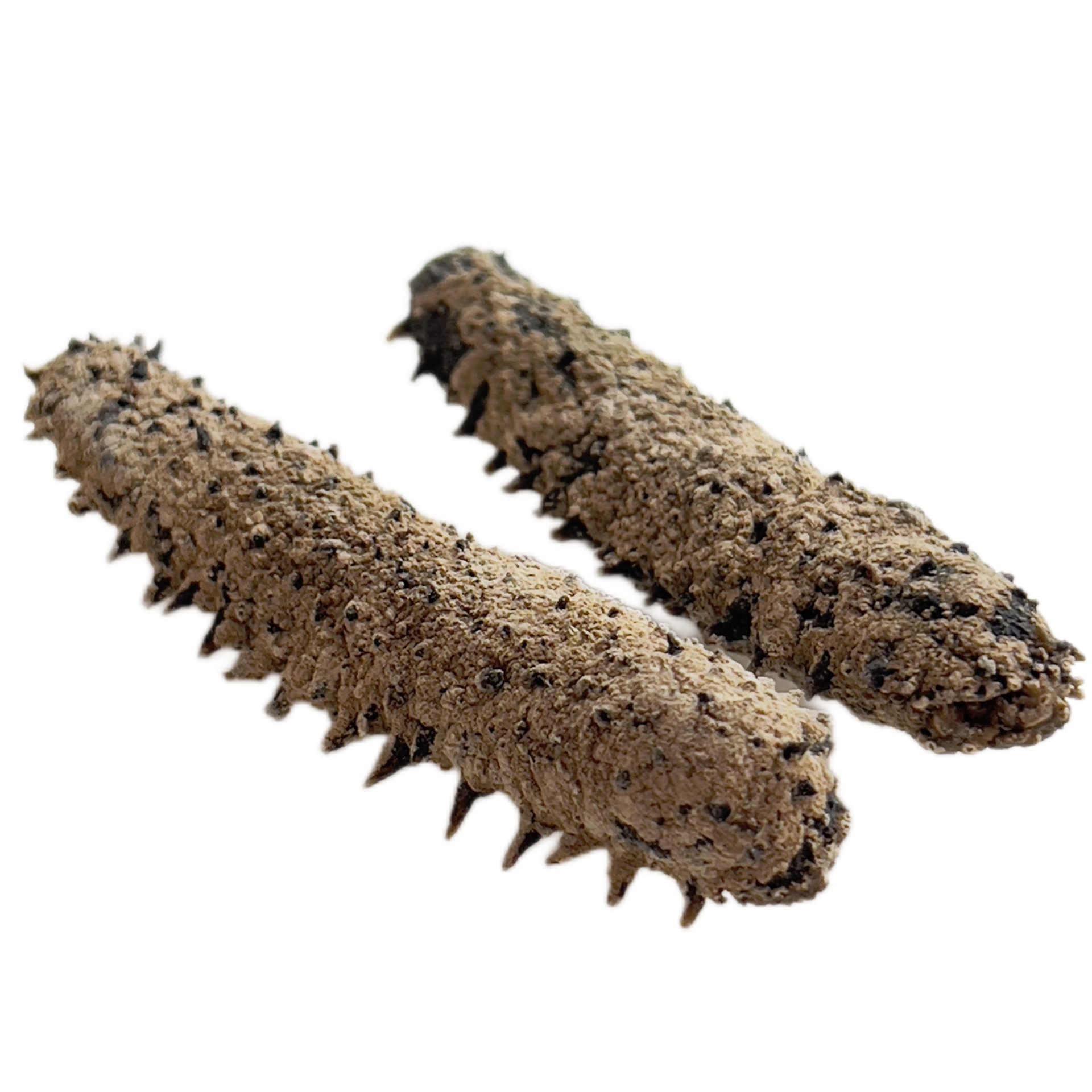 在我附近购买野生参可享受免费送货