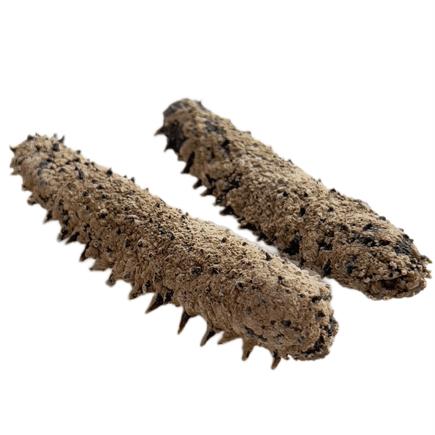 Huifeng Ginseng Okiko Sea Cucumber 16 oz 16 oz