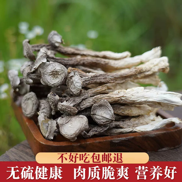 珊初物 鹿茸菇 干货鹿茸菌菇干蘑菇云南菌子*1袋