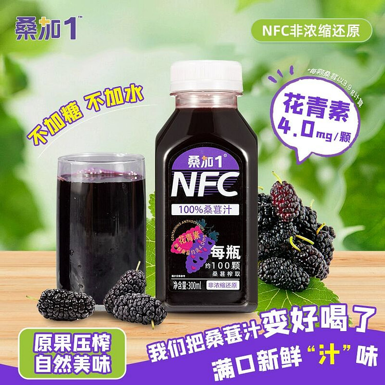桑加1桑葚果汁纯原椹NFC