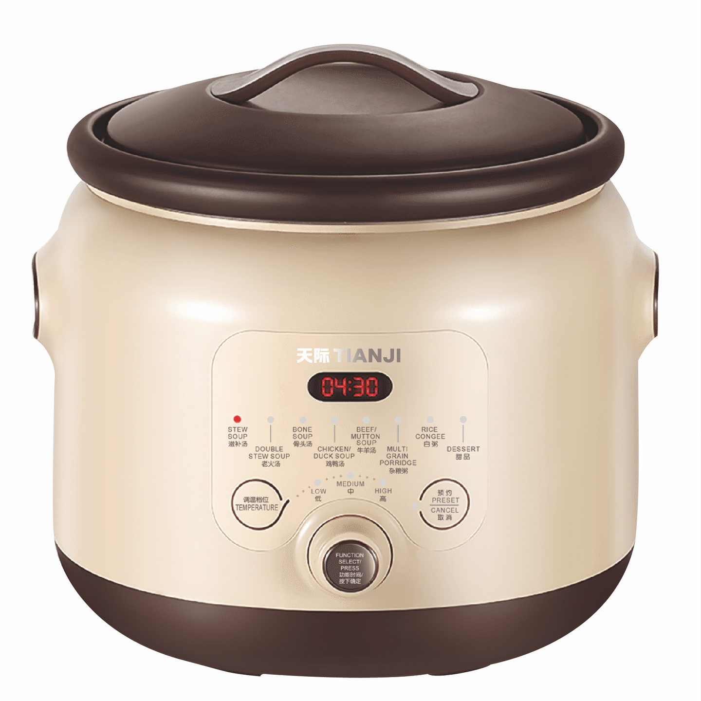 TIANJI Electric Stew Pot DGD40-40SED, Purple Clay Inner Pot 1 カウント