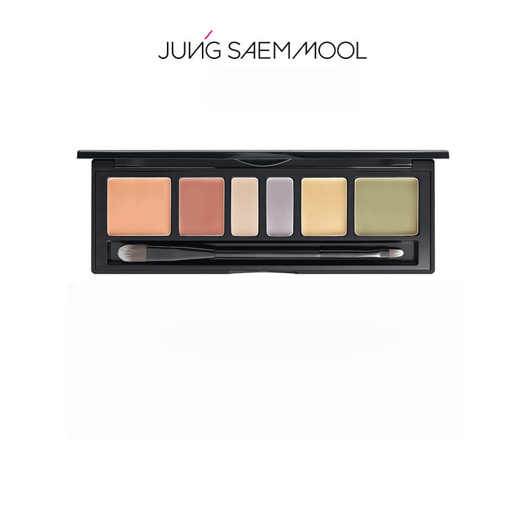 JUNG SAEM MOOL Artist Concealer Palette 6.6g Blend 1 box