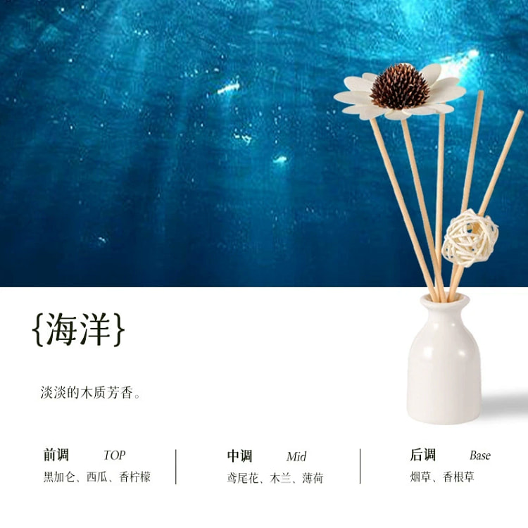 室内无火香薰摆件套装 海洋 1 盒