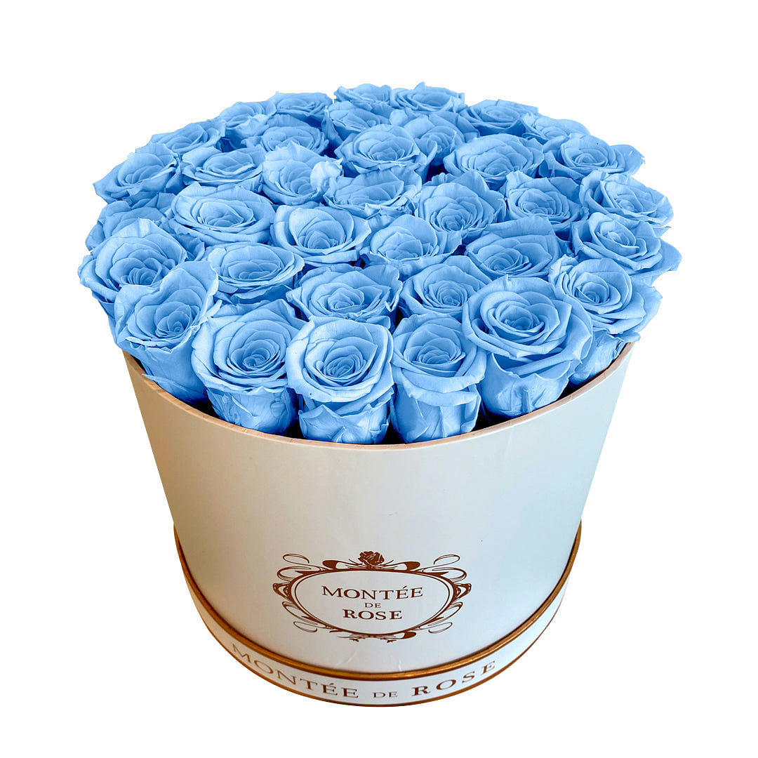 White Large Round Sky Blue 1 each