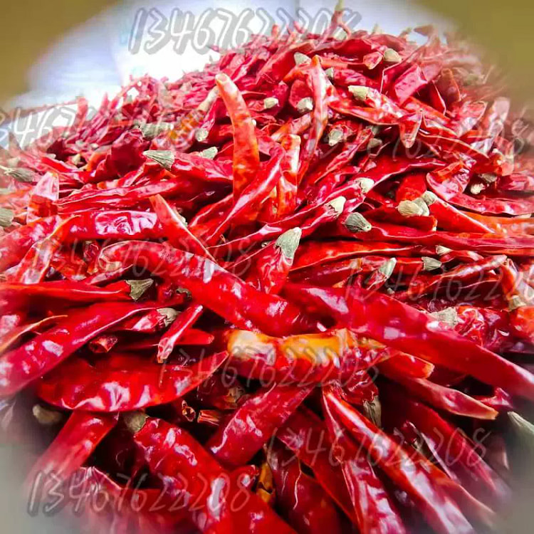 红干椒 中辣