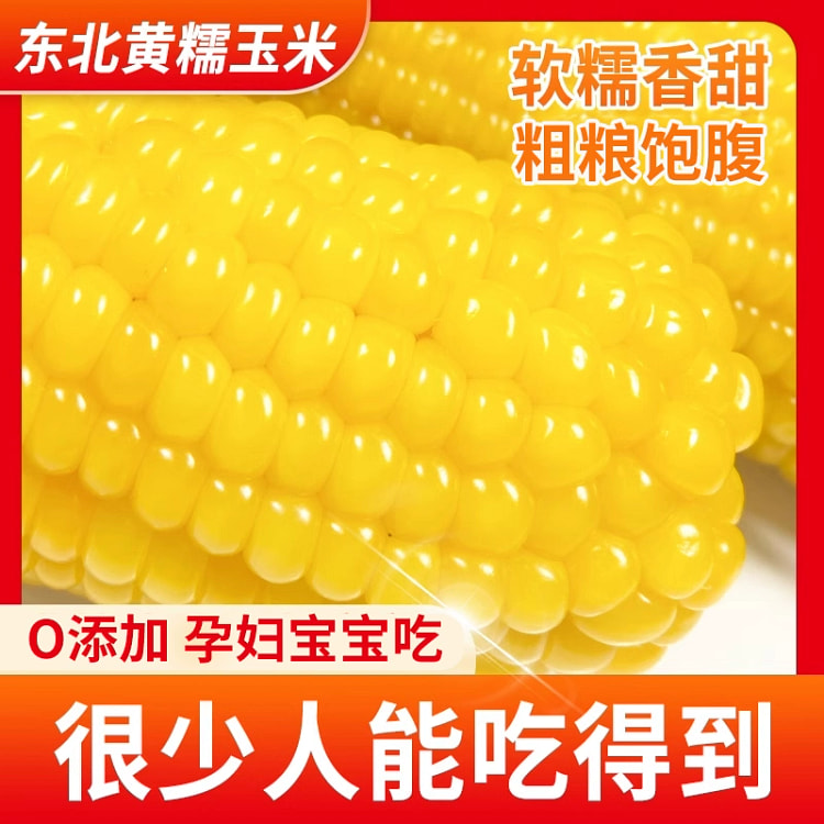东北黄糯玉米*2根