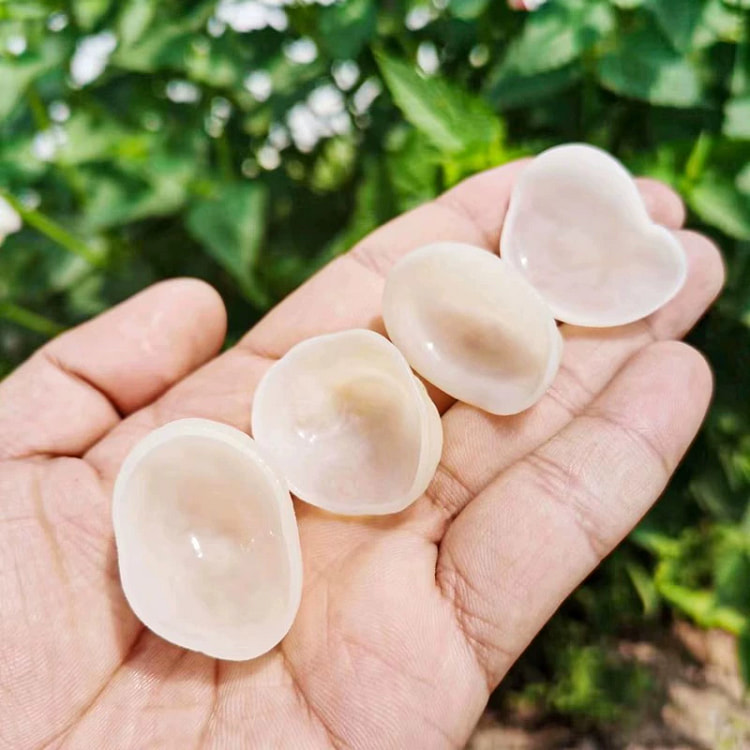 White jade fungus dried goods 100*1 bag