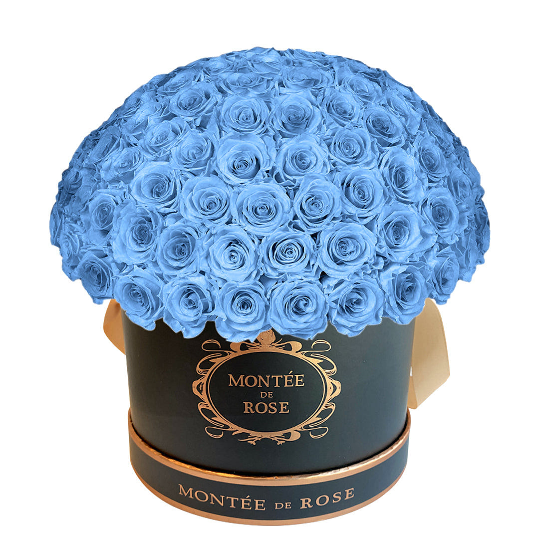 Black Large Dome Sky Blue 1 each