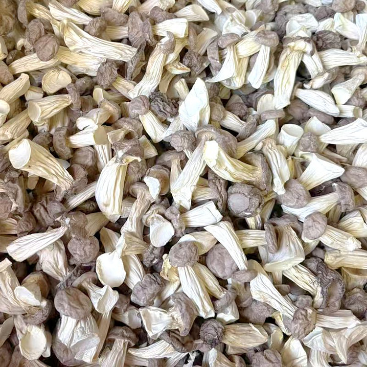 长寿菇干货野生菌菇100g*1包