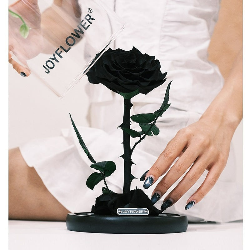 JOY FLOWER Gift box of dried black roses – BIG SIZE 1 box