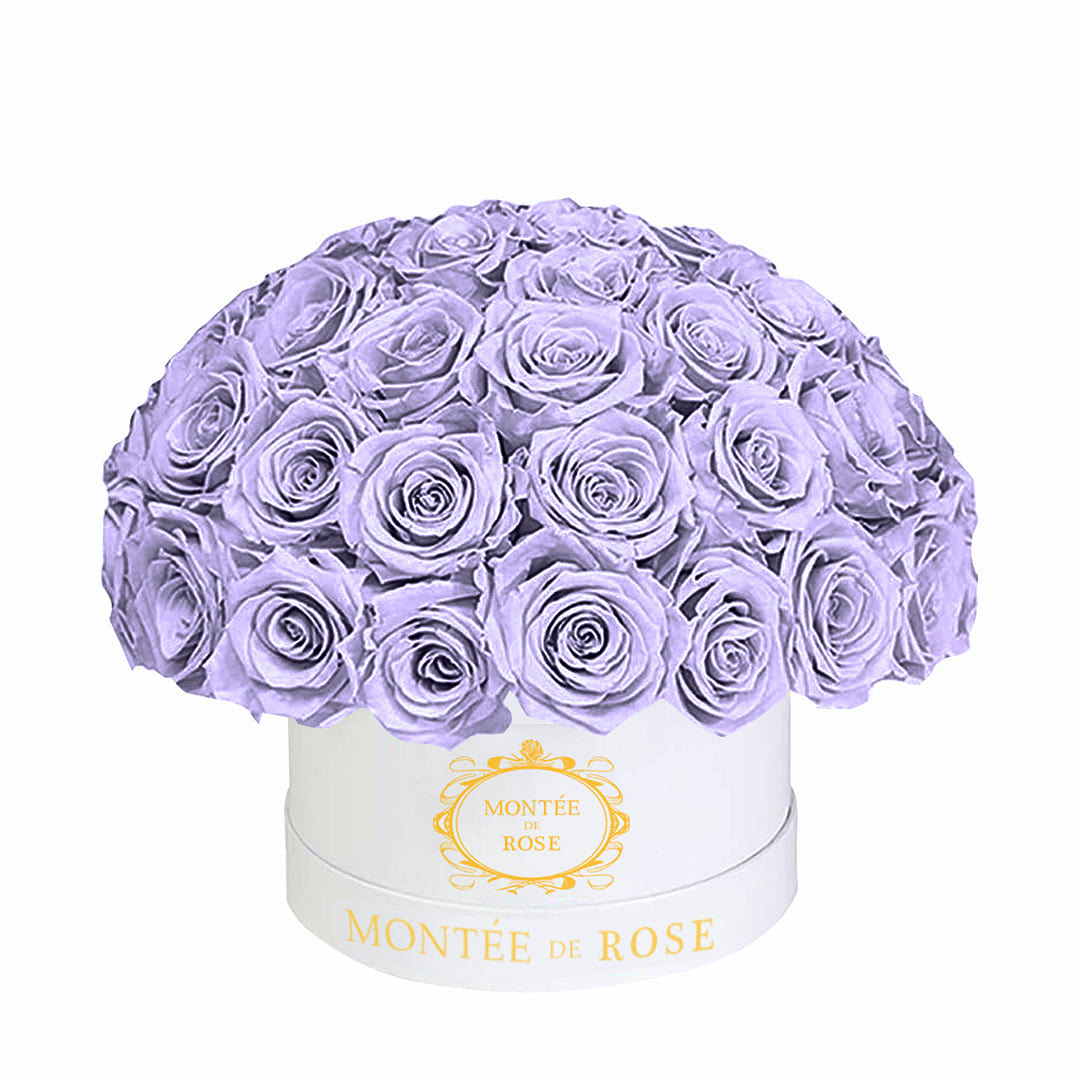 White Medium Dome Light Purple 1 each