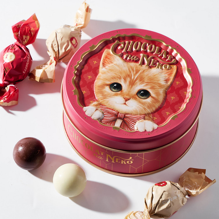 Cat Truffle Chocolate Treats (6 pieces)