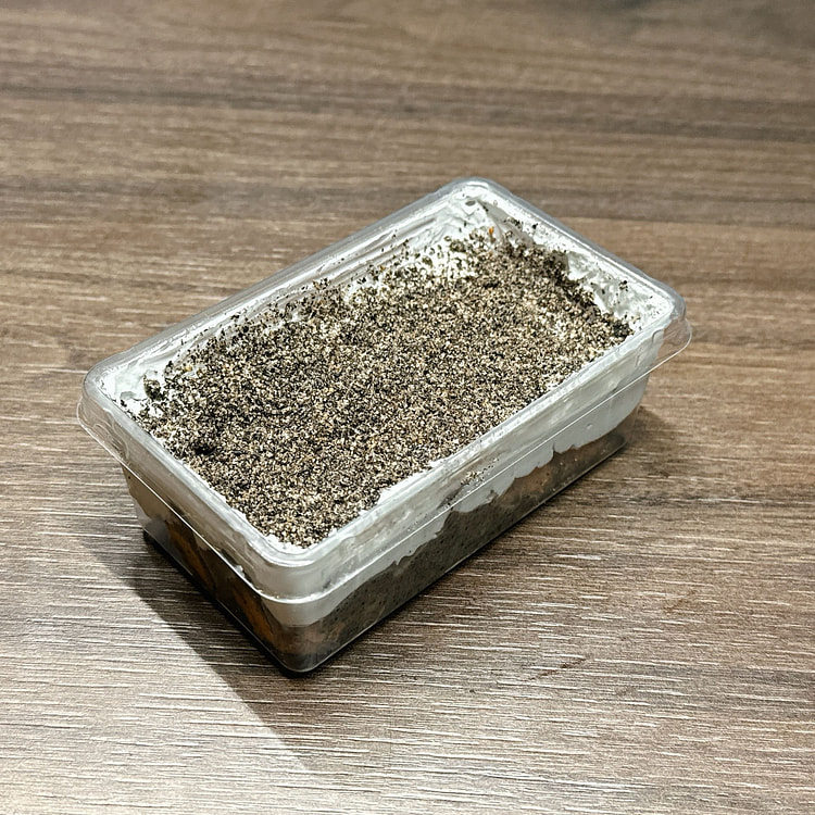黑芝麻提拉米苏