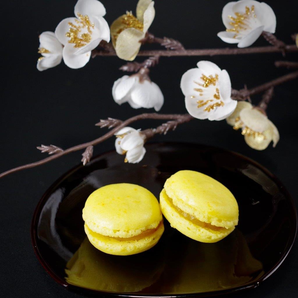 Japanese Macaron Yuzu 1 case - Weee!