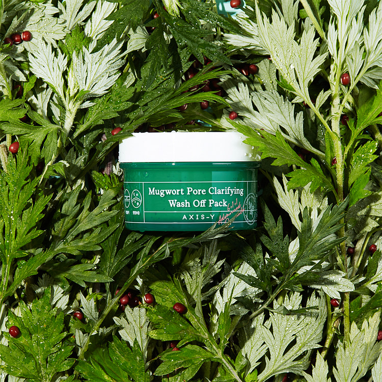 AXIS-Y Mugwort Pore Clarifying Wash Off Pack 100ml
