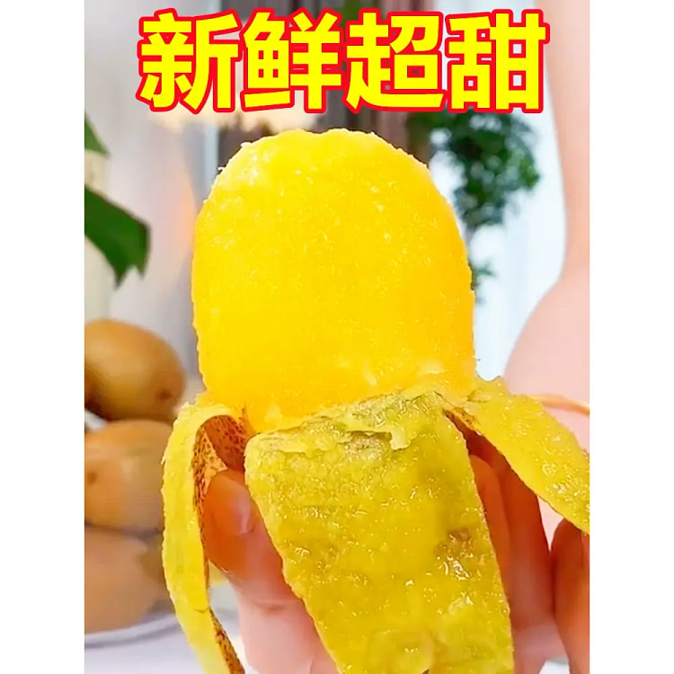 Shaanxi yellow heart kiwi fresh 1 kg 5-7 pcs