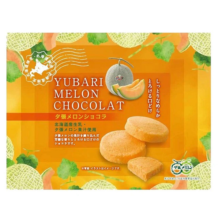 青华堂 夕张哈密瓜巧克力饼干 10枚