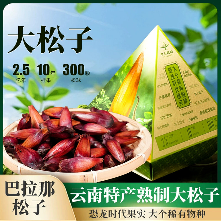 巴拉那松子云南特产原味大颗粒80g*1盒