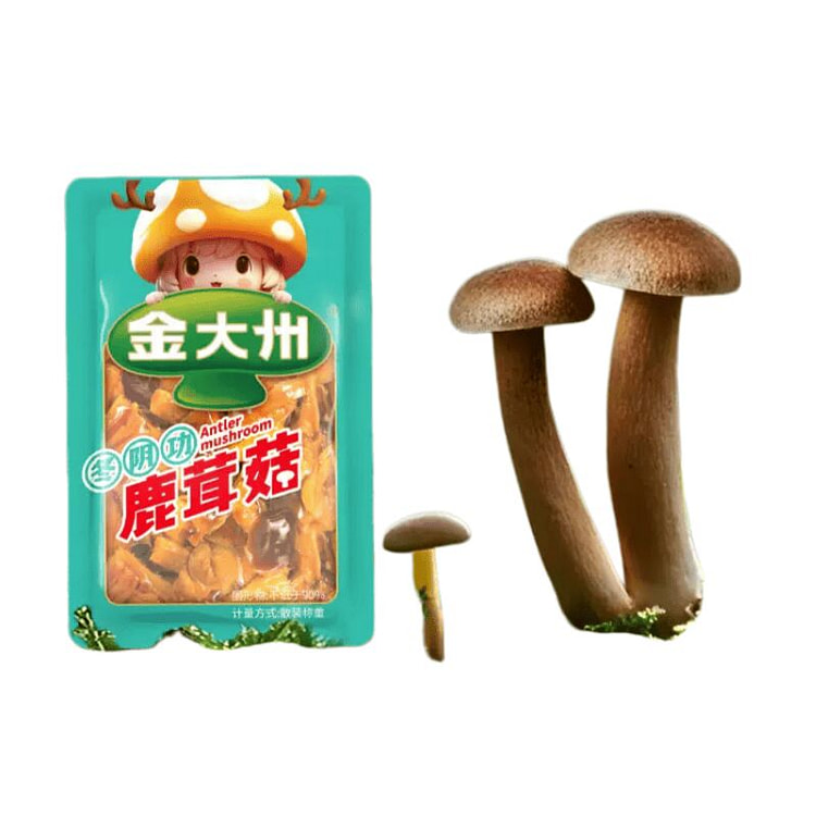 Jin Dazhou Tom Yum Reindeer Antler Mushroom 10 bag 200 g