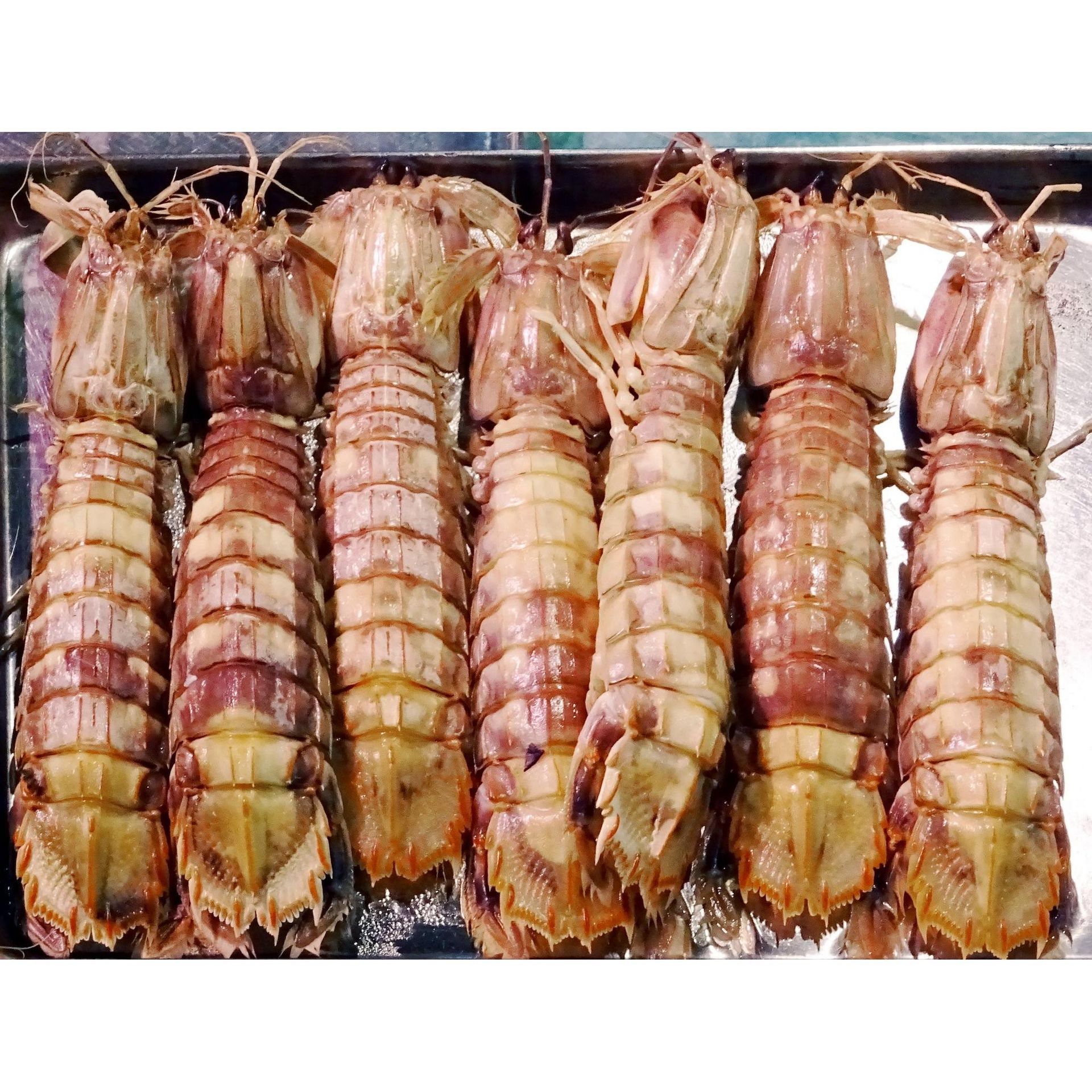 Shako 10pcs 1 each