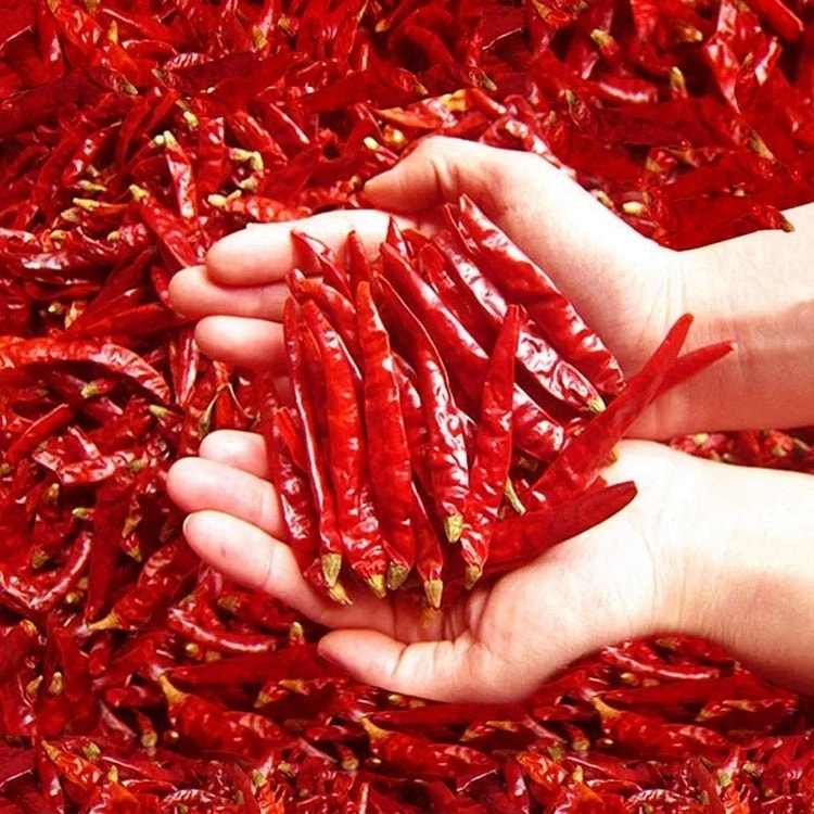 Medium-hot red dried chili peppers - 100 grams 100 g