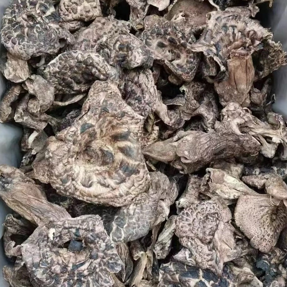 1ozSarcodon Mushrooms+1ozDried Wild Black Truffles 1 each