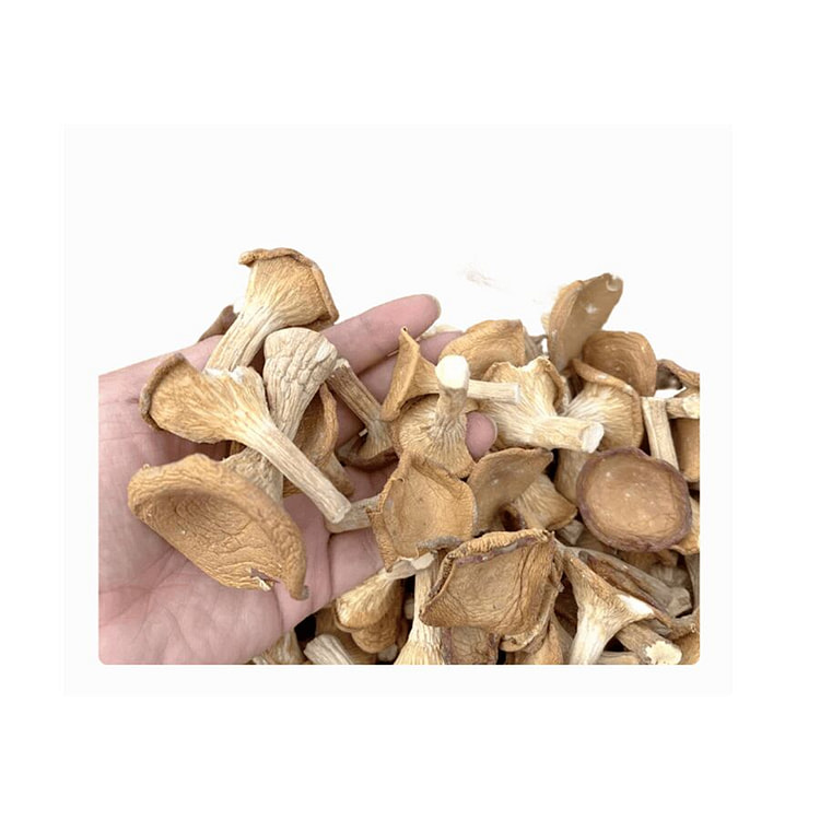 滇山  猪肚菇干货香菇云南菌子 250g*1袋