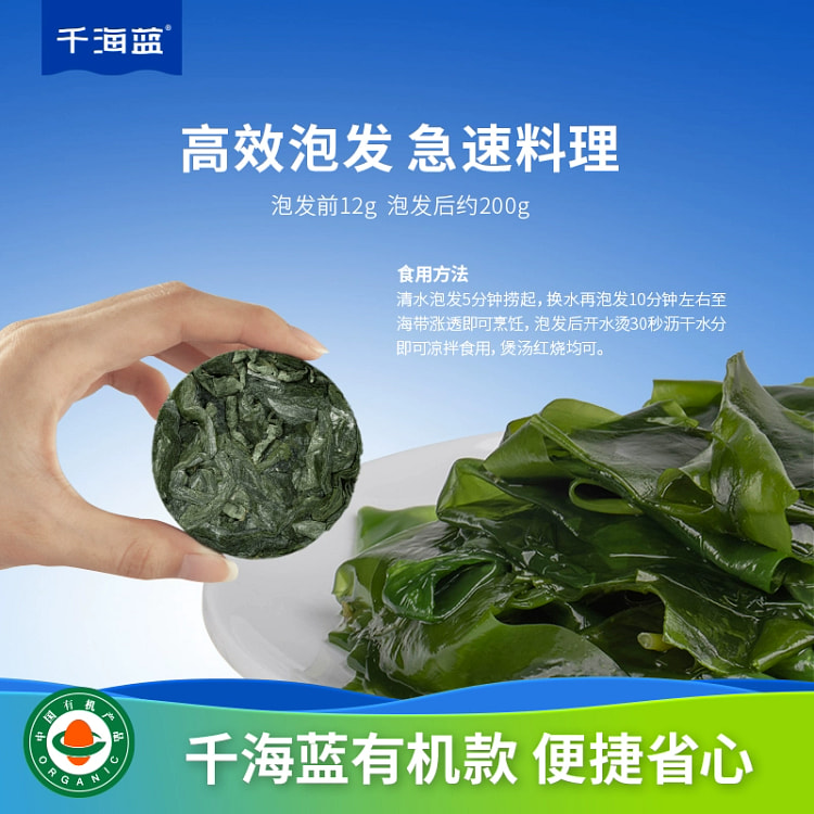 千海蓝有机压缩海带嫩苗12g*5片福建霞浦