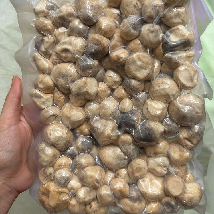 Freeze-Dried Straw Mushroom 100 g