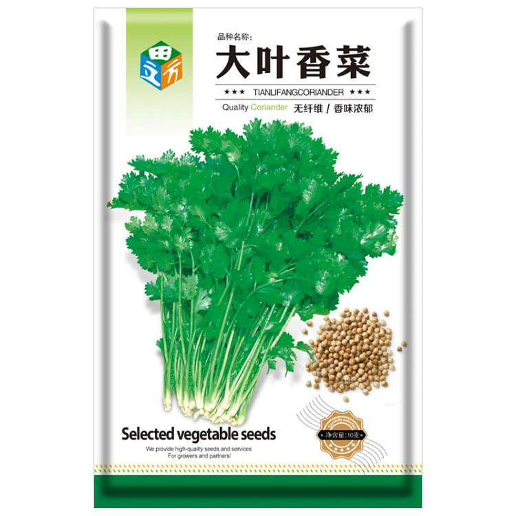 大叶香菜*1袋