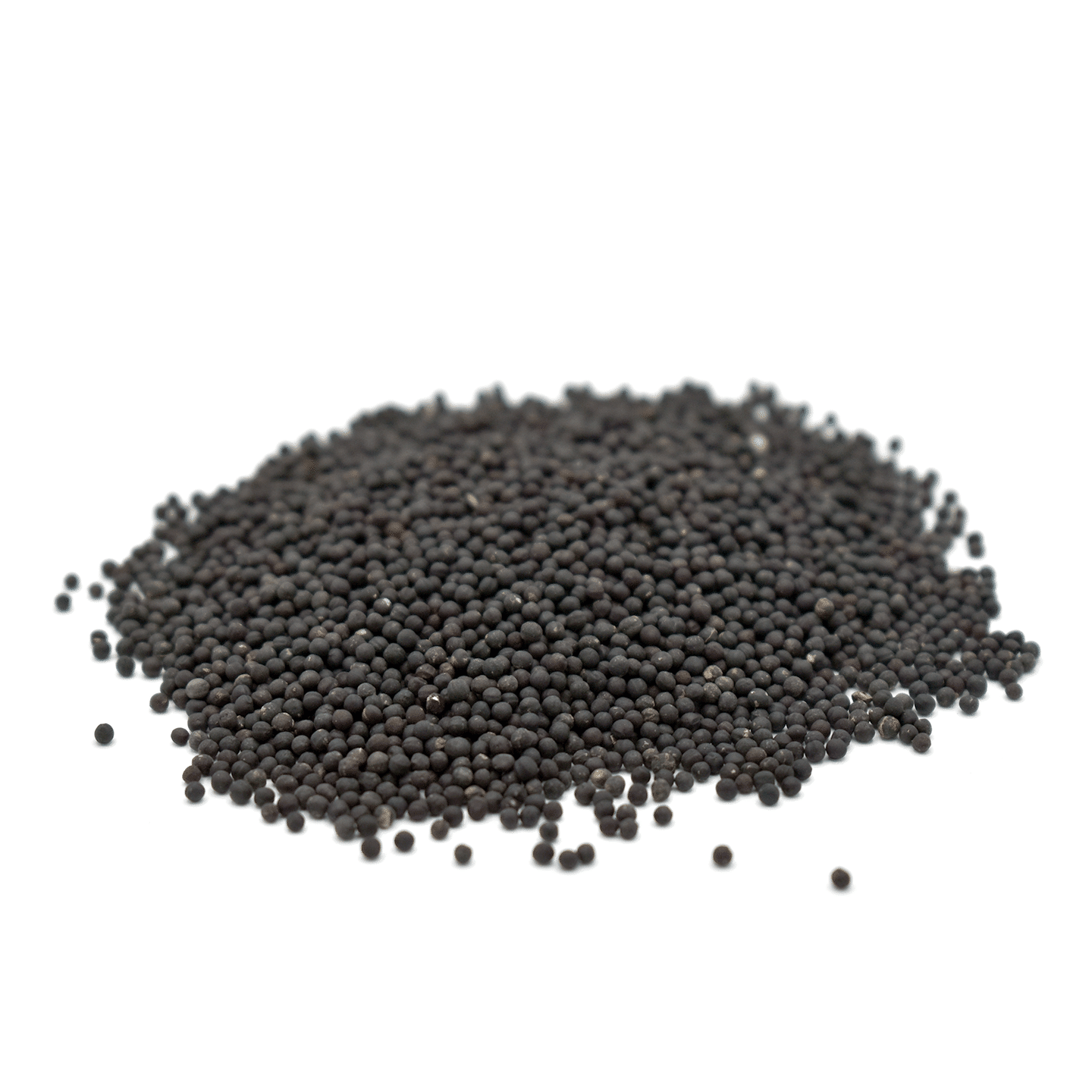 WANG BU LIU XING – Cow Soapwort Seed – Custom Amount 1lb (454g) 1 each