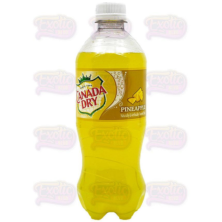 Canada Dry Pineapple 20oz 1 each