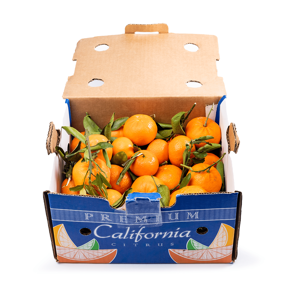 Stem and Leaf Mandarin Case 9 lb