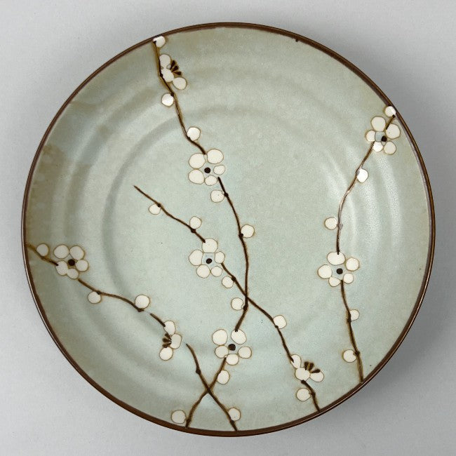 Made-in-Japan Hakubai Coupe Deep Dinner Plate Shallow Curry-Rice Bowl 9" dia. 1 each