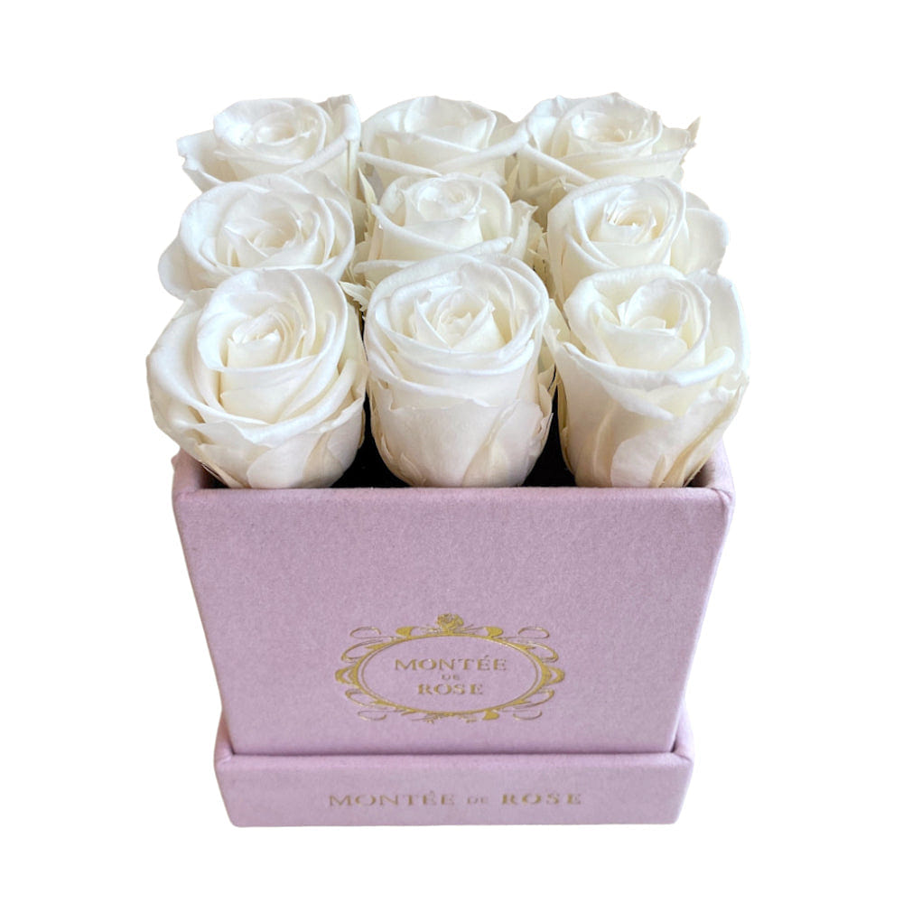 Suede Pink Square La Petite Rose Pure White 1 each