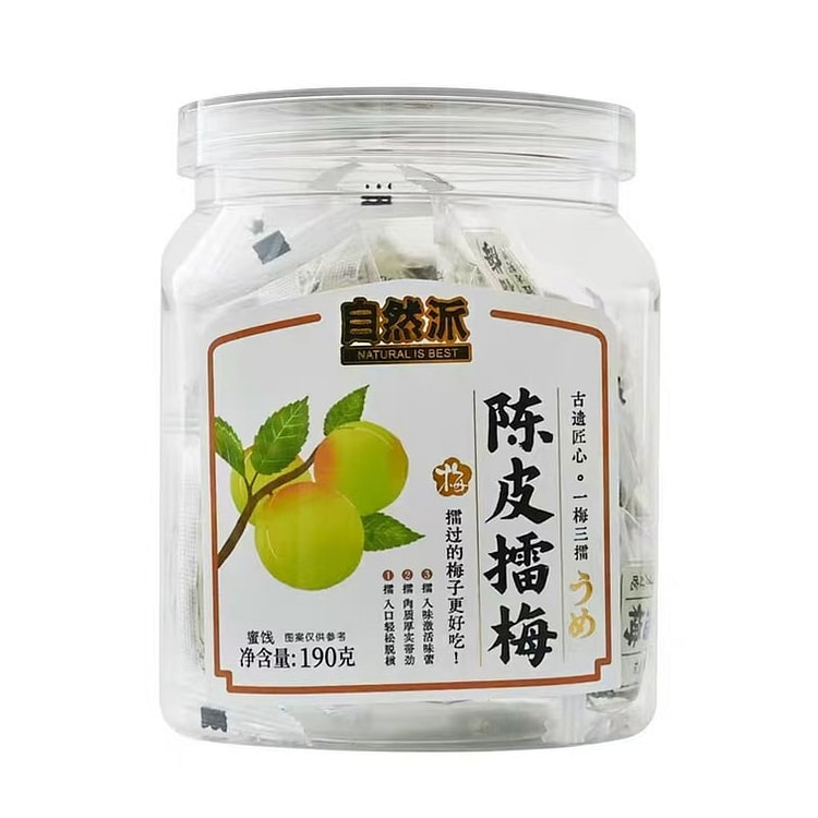 自然派 陈皮味话梅干蜜饯小零食190g*1袋 190 克