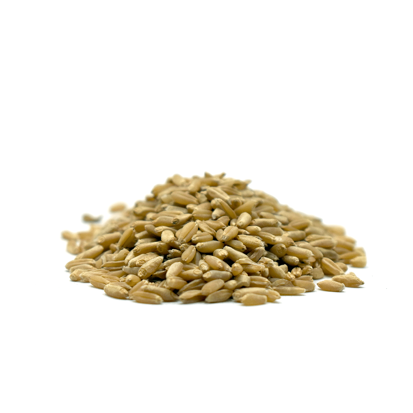 FU XIAO MAI – Light Wheat Grain – Custom amount 1lb lb 1 each