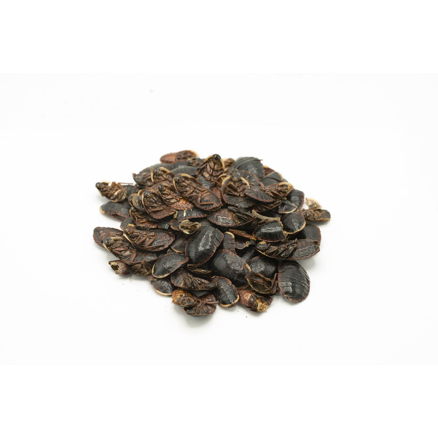 TU YUAN(BIE CHONG) – Custom Amount 100g 1 each