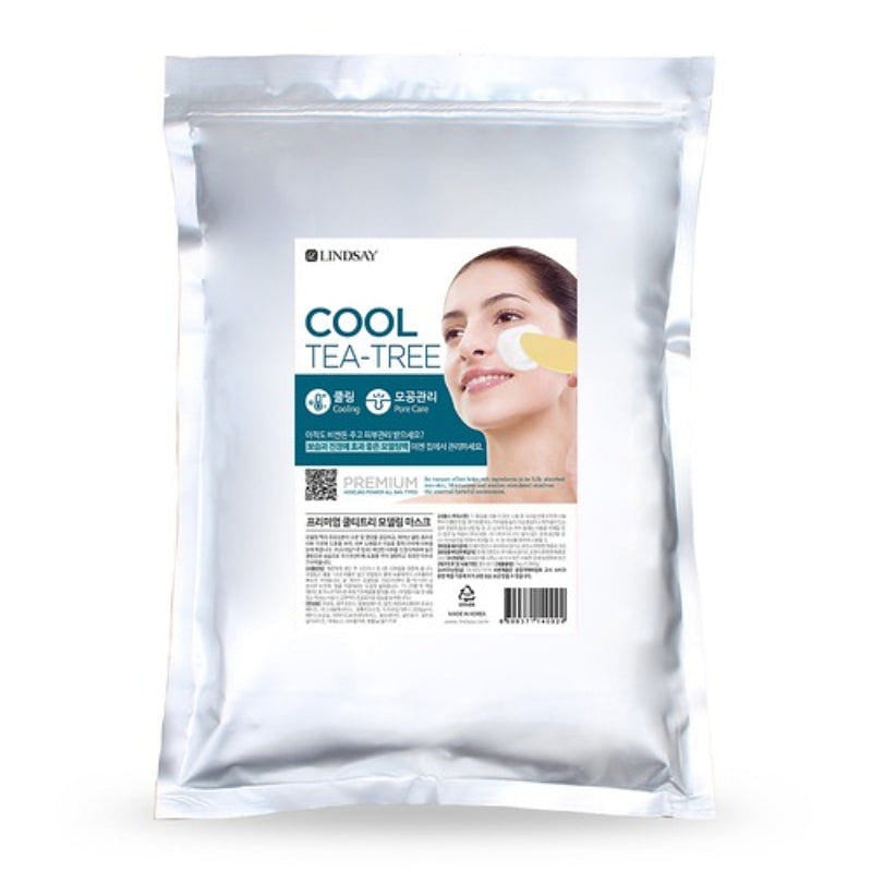 LINDSAY Premium Modeling Mask Pack 1 each