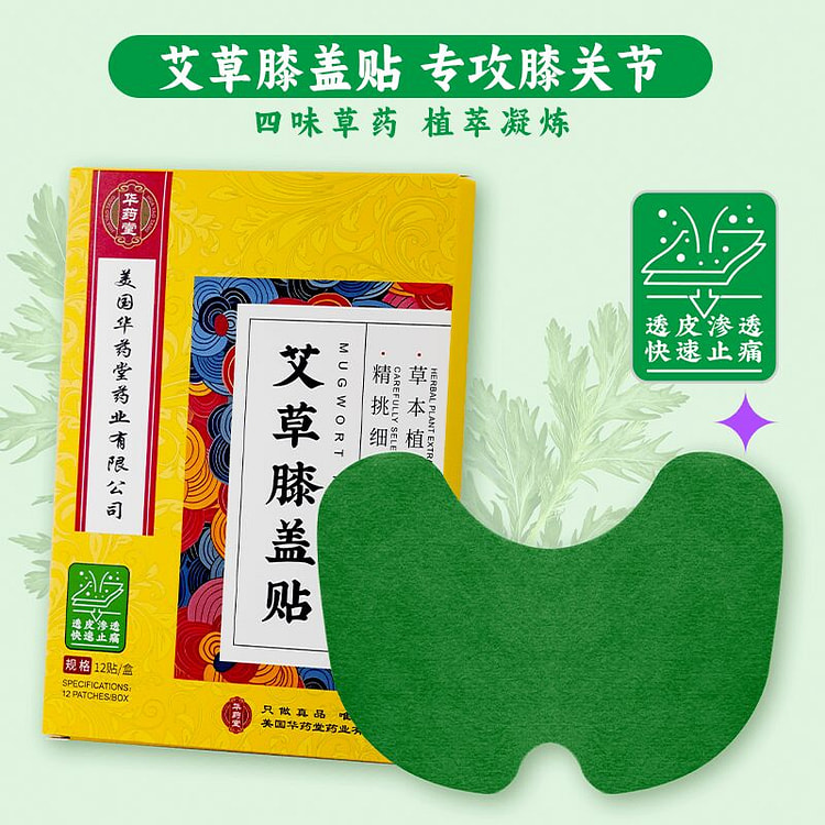 Mugwort Knee Patch 12Pcs/Box