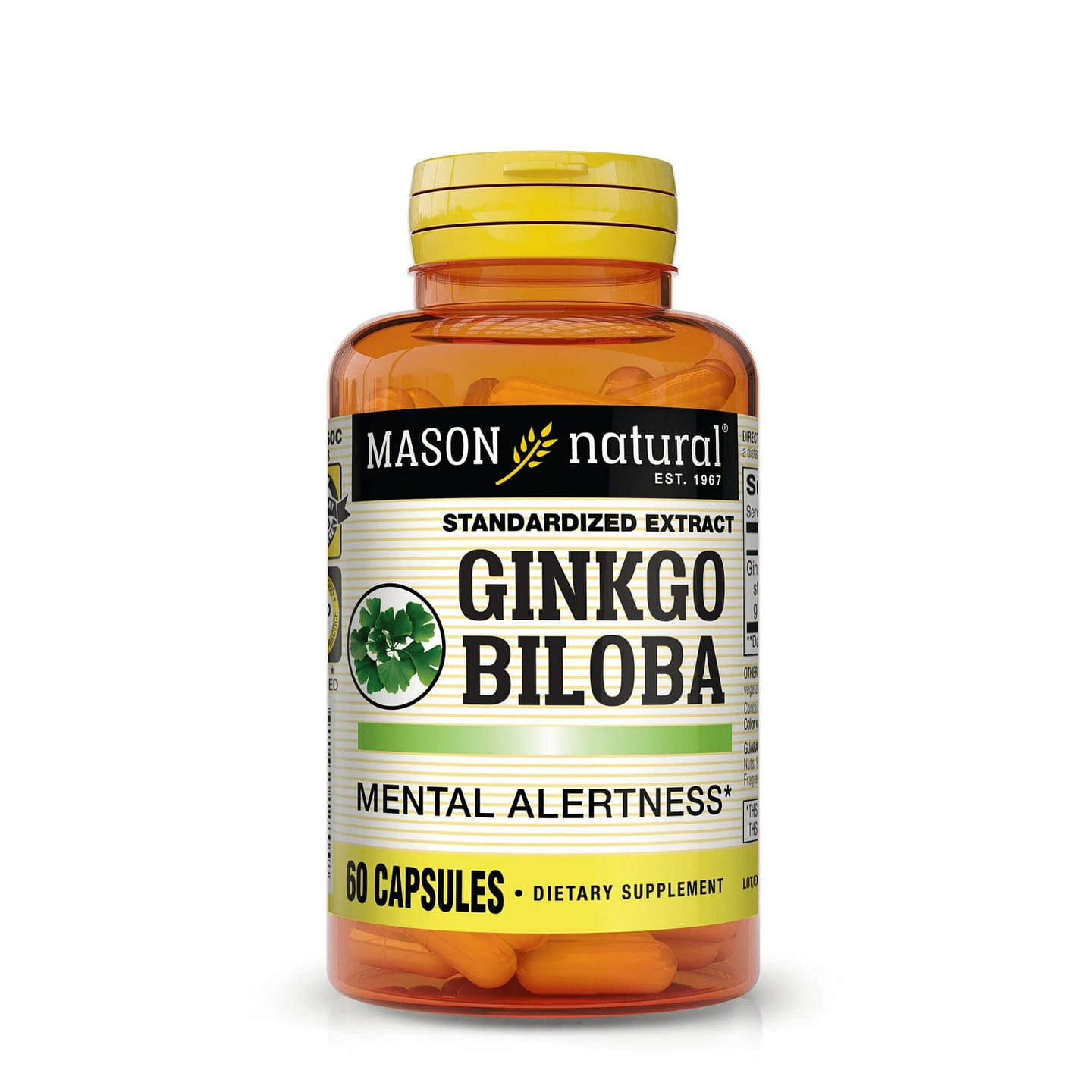 Mason Natural Ginkgo Biloba Standardized Extract 1 bottle