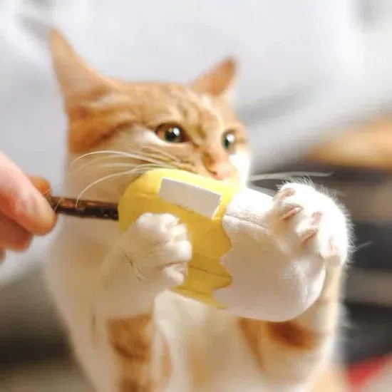 【MEOWCARD】Ice Cream Silvervine Catnip Cat Toy 1 each