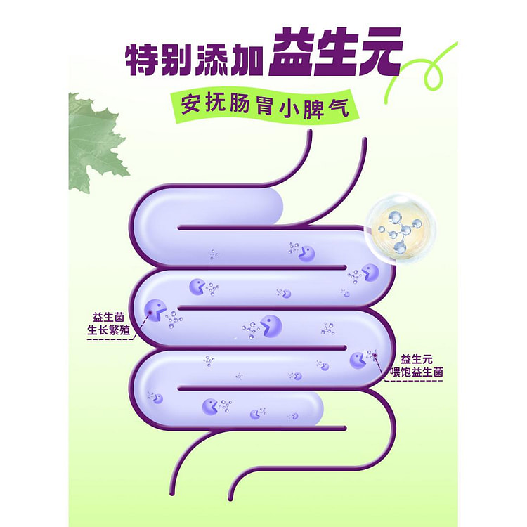 桑葚葡萄豆浆粉*1袋