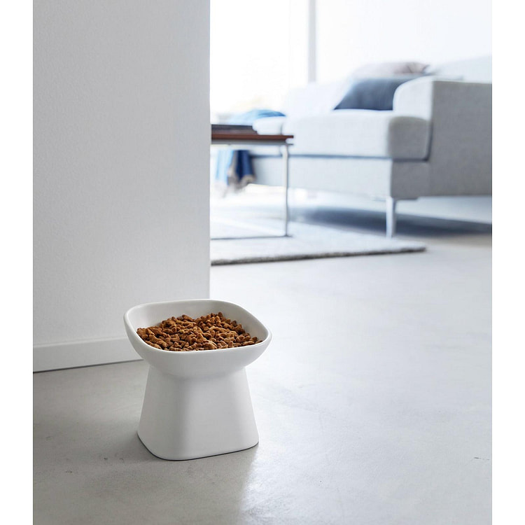 Tilted Pet Food Bowl White