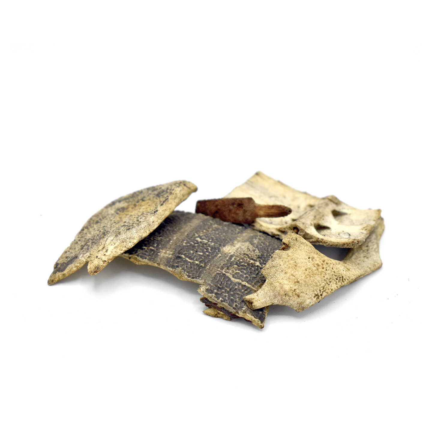 BIE JIA – Tortoise Shell (Dorsal Side) – Custom Amount 100g 1 each