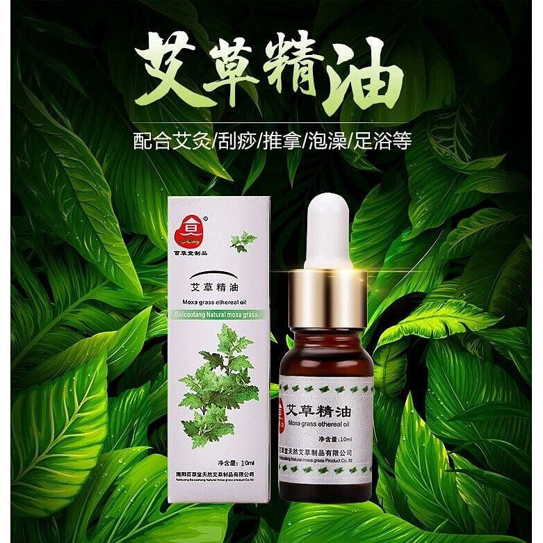Wormwood Moxibustion Moxa Massage Essential Oil 10 ml