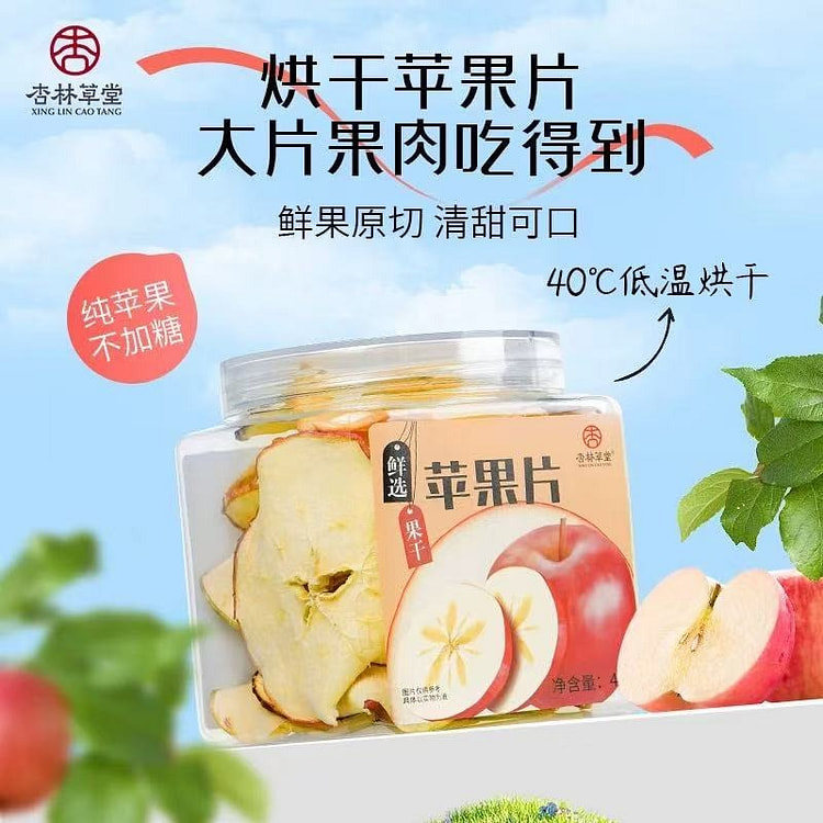 【杏林草堂】冻干水果茶 多种口味 饮品冷泡茶《苹果片》1罐