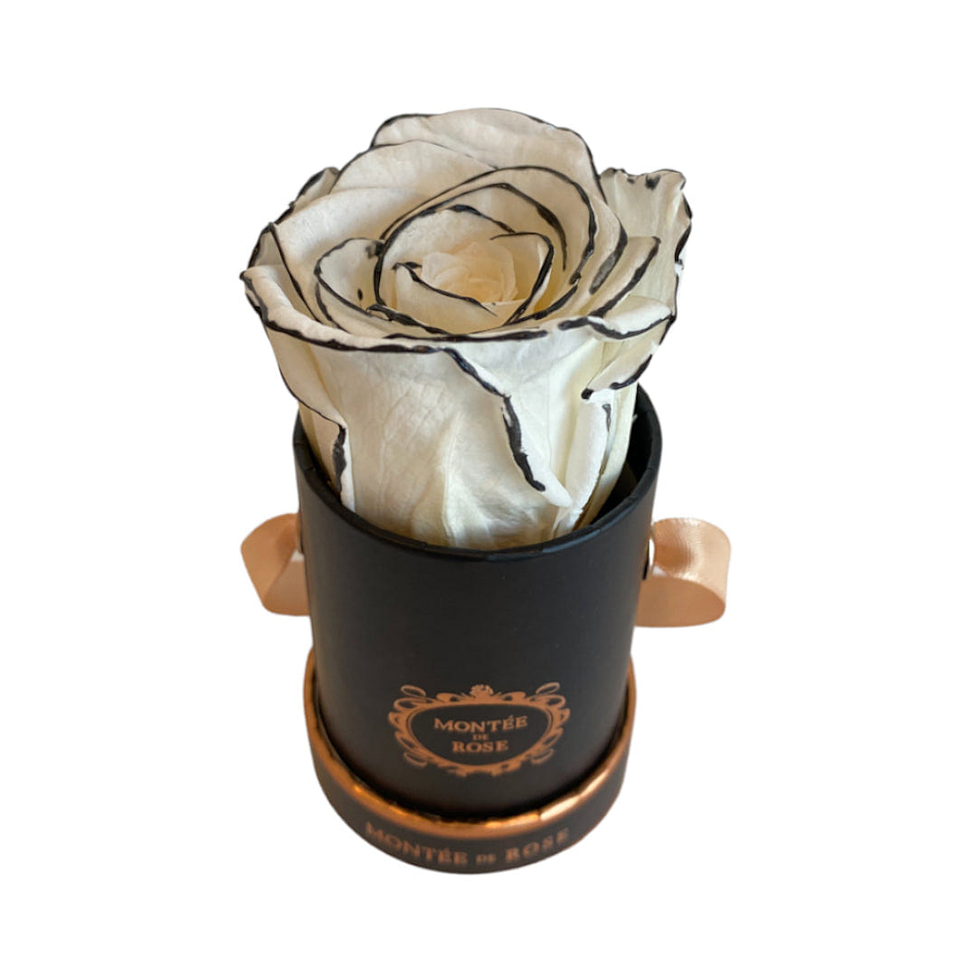 The Black Pearl in Black Round Mini 1 each