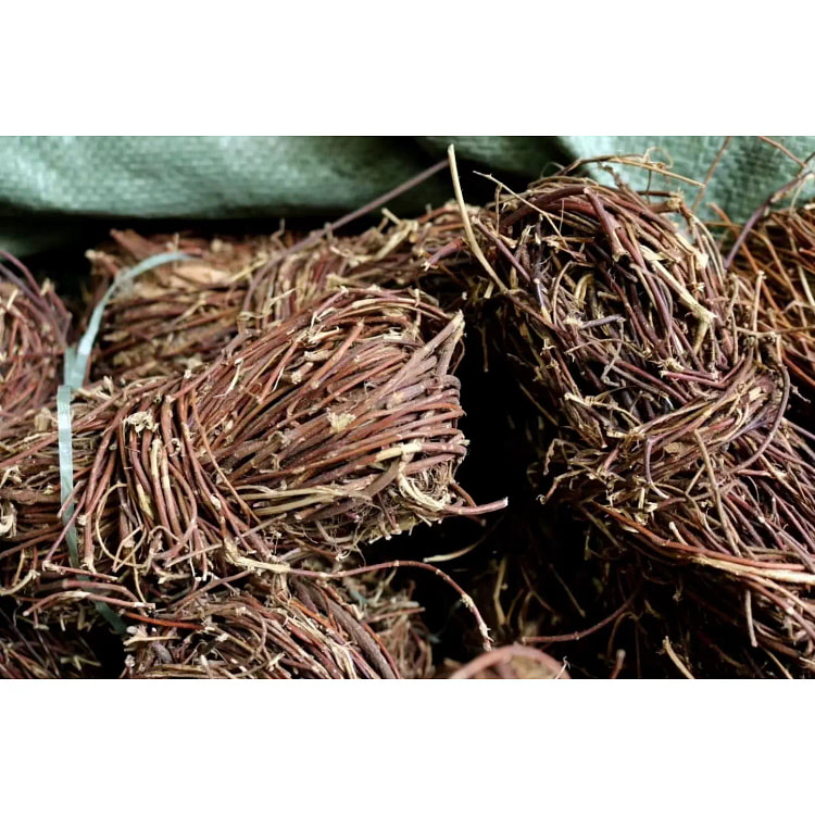 广西鸡骨草益干1包500g广东煲汤材料
