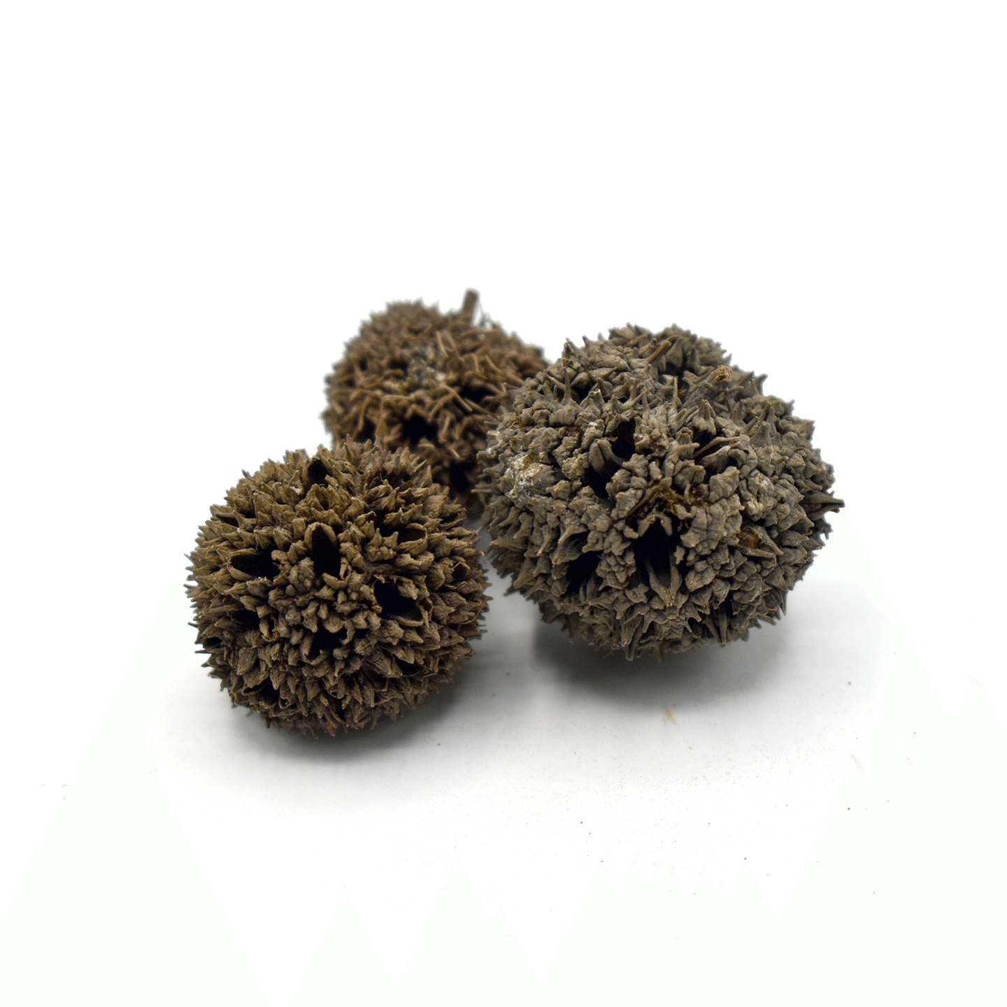 LU LU TONG – Liquidamber Fruit – Custom Amount 100g 1 each